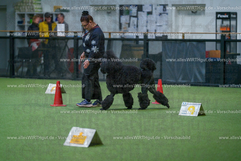 7R503450 | Professionelle Tierfotografie in Mönchengladbach von Daniel Wirth (allesWIRTHgut). Liebevolle & natürliche Bilder von Hunden & Katzen für unvergessliche Erinnerungen.