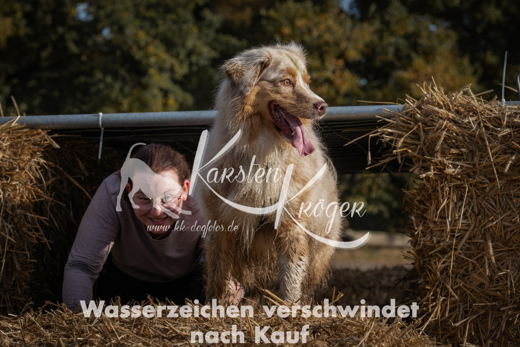 1036_ZZ98948 | kk-dogfotos