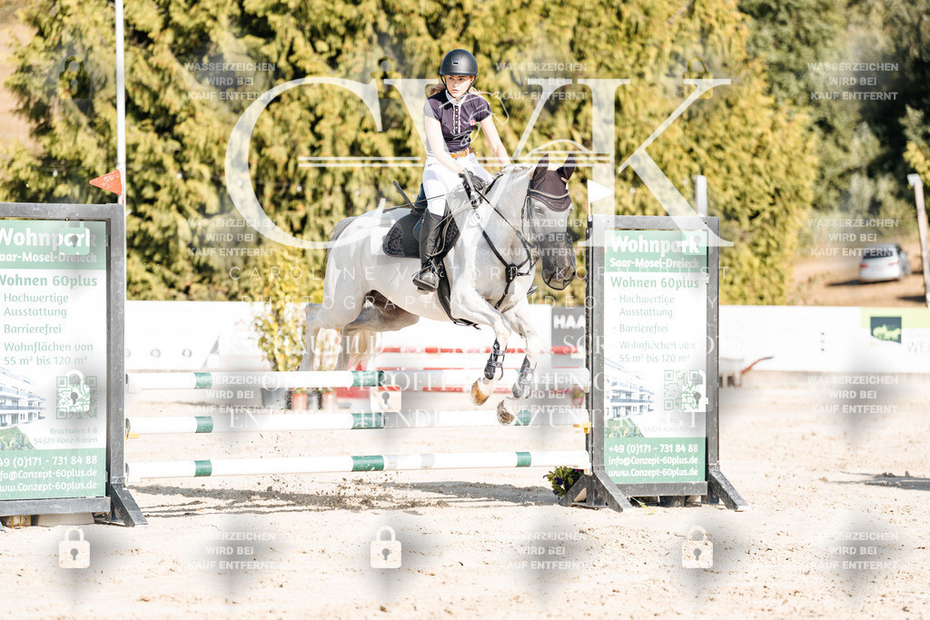 CK909313 | Turnierfotografie Pferdefotografie Trier Rheinland-Pfalz Pferdesport Reitsport Tierfotografie Sportfotografie Pferdevideo Pferdevideografie Equestrianvideography equestrianphotography  - Realisiert mit Pictrs.com