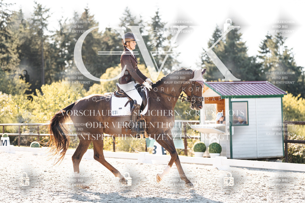 CK906603 | Turnierfotografie Pferdefotografie Trier Rheinland-Pfalz Pferdesport Reitsport Tierfotografie Sportfotografie Pferdevideo Pferdevideografie Equestrianvideography equestrianphotography  - Realisiert mit Pictrs.com