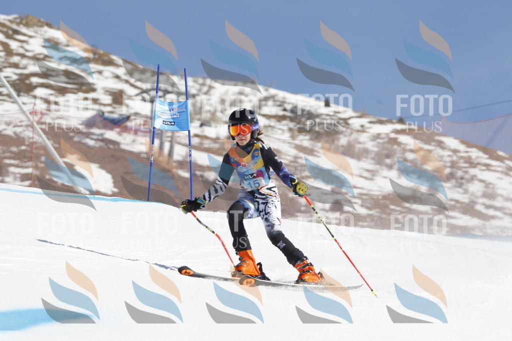 _U3G8750 | holidayphoto