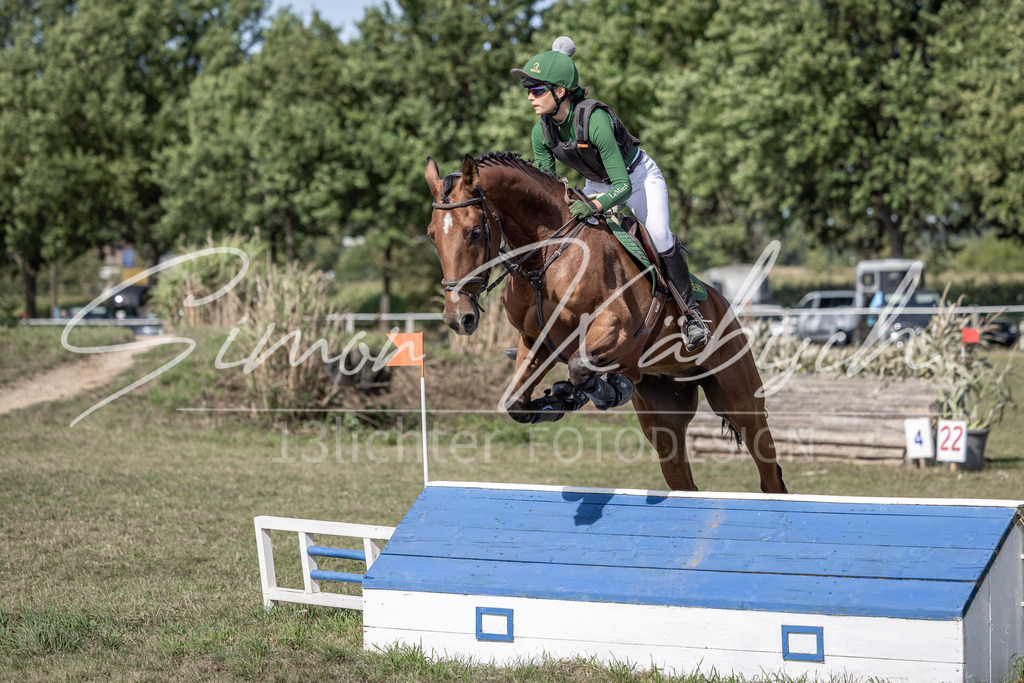 20250907-_3LI9883 | Tierfotografie Pferde, Hunde, Katzen, Haustiere.
Turnierfotografie Reitturniere, Reiten, Springreiten, Dressur in Hanau, dem Main-Kinzig-Kreis und dem Rhein-Main- Gebiet um Frankfurt