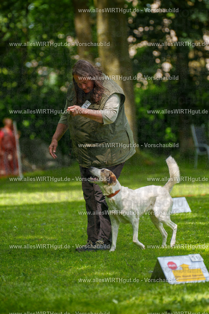 @allesWIRTHgut_Tierfotografie - www.allesWIRTHgut.de - 7R504339 | Professionelle Tierfotografie in Mönchengladbach von Daniel Wirth (allesWIRTHgut). Liebevolle & natürliche Bilder von Hunden & Katzen für unvergessliche Erinnerungen.