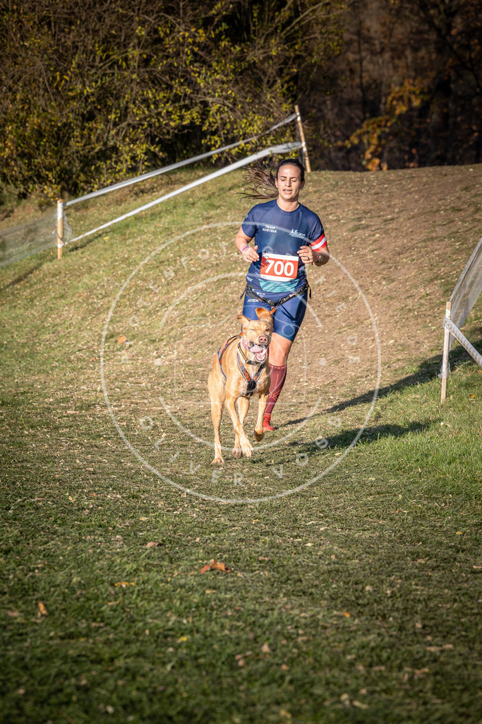 CaniXpix_0L8A9437 | Hundefotografie, Tierfotograf, Pfotenfotografie, Fotoshooting Hund, Hunde Portrait, Hundesport, Hundeportraits, Heideshooting, Hunde, Sportfotograf, Hundefotograf, Turnierhundsport, THS,  - Realisiert mit Pictrs.com