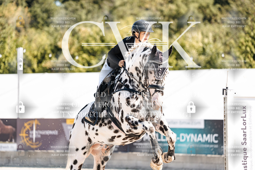CK905012 | Turnierfotografie Pferdefotografie Trier Rheinland-Pfalz Pferdesport Reitsport Tierfotografie Sportfotografie Pferdevideo Pferdevideografie Equestrianvideography equestrianphotography  - Realisiert mit Pictrs.com