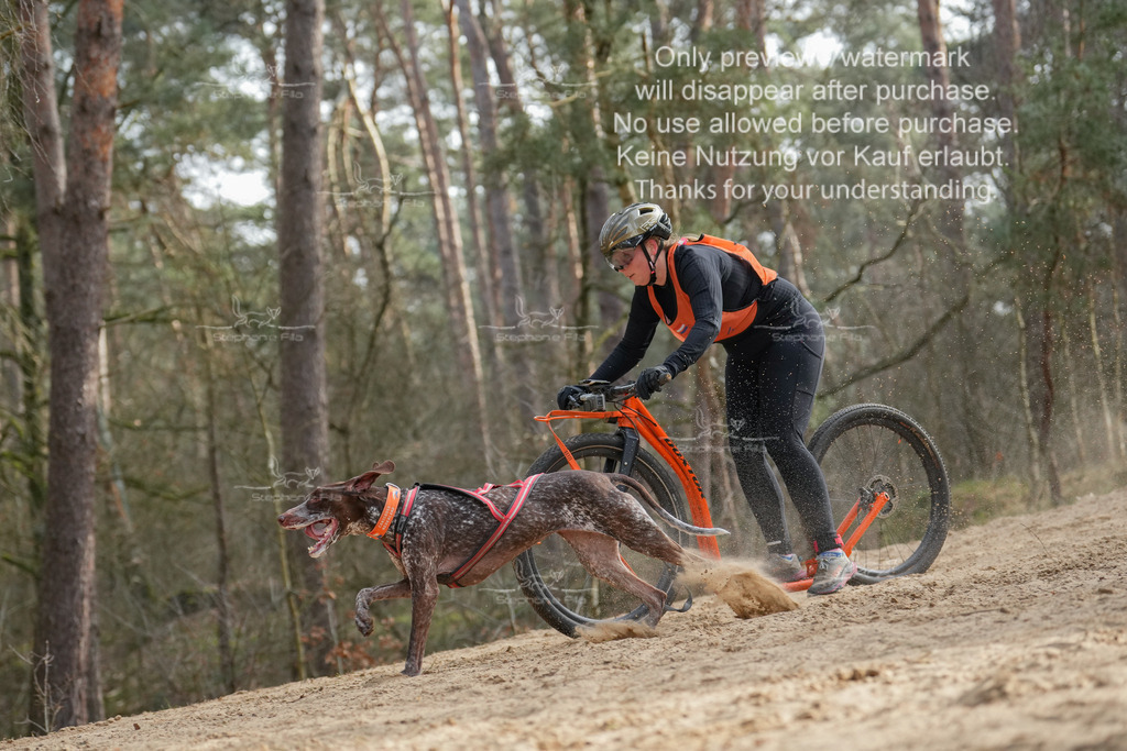 Scooter2-21 | stephaniefillaphotographie - Realisiert mit Pictrs.com