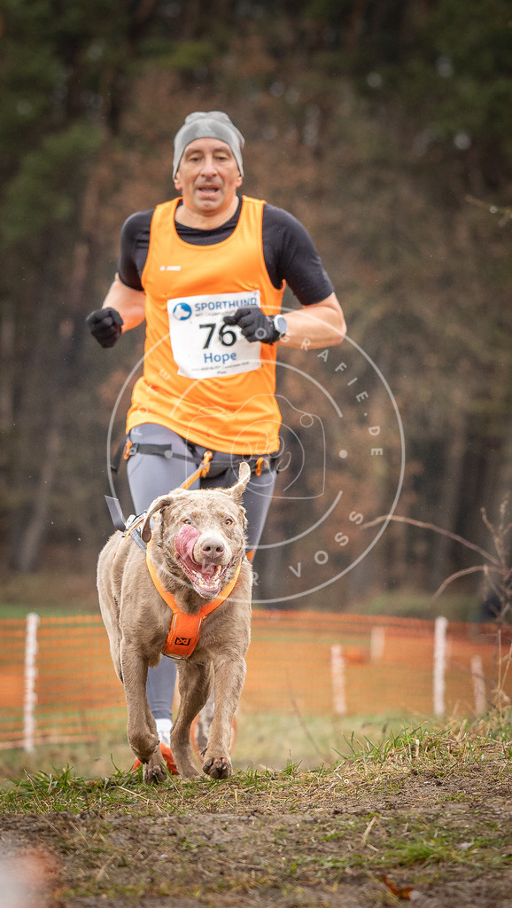 DV3A0297 | Hundefotografie, Tierfotograf, Pfotenfotografie, Fotoshooting Hund, Hunde Portrait, Hundesport, Hundeportraits, Heideshooting, Hunde, Sportfotograf, Hundefotograf, Turnierhundsport, THS,  - Realisiert mit Pictrs.com