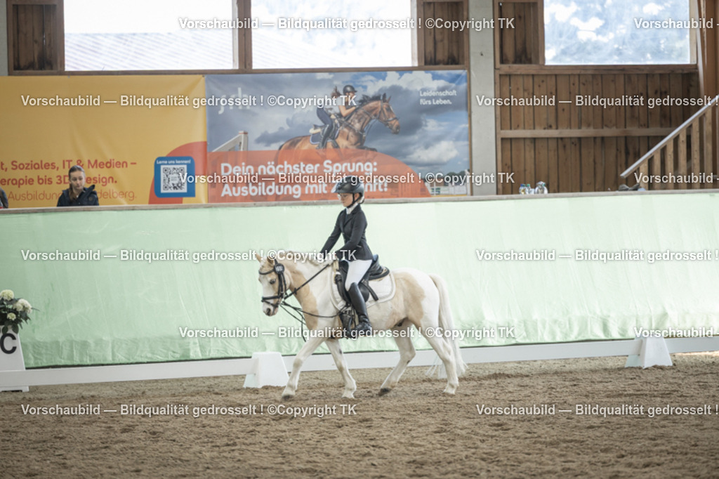 _D5A5639 | Emotionale Pferde- & People-Fotografie rund um Heidelberg, Leimen & Umgebung. Natürliche Fotos von Pferd, Mensch & Familie. Jetzt Termin sichern!