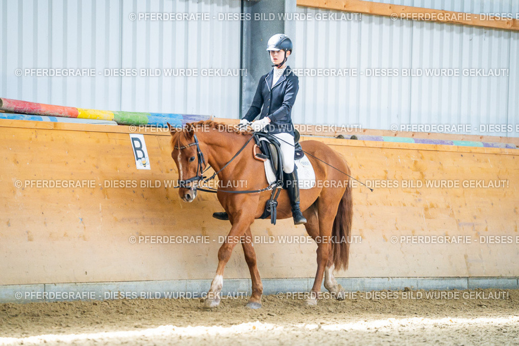 DSC03246 | Pferdegrafie