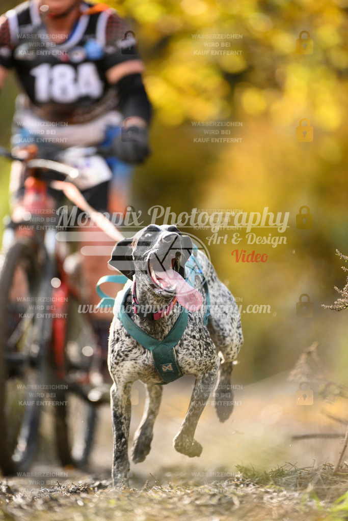 MompixPhotography_ICF_WC_2024_SA_Bike_-327 | PayLife