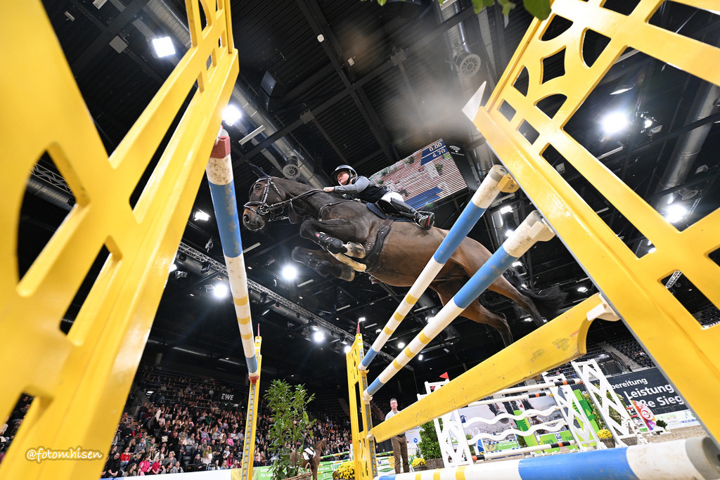 311025-17x-039 | Foto Mhisen Pferdefotografie#, Reitturnier Frankfurt#  #Dressur und Springen
#Profi Pferdefotograf Reitturnier Fotograf 
#Sport Horses Photographer 
#equestrain photographer - Realisiert mit Pictrs.com