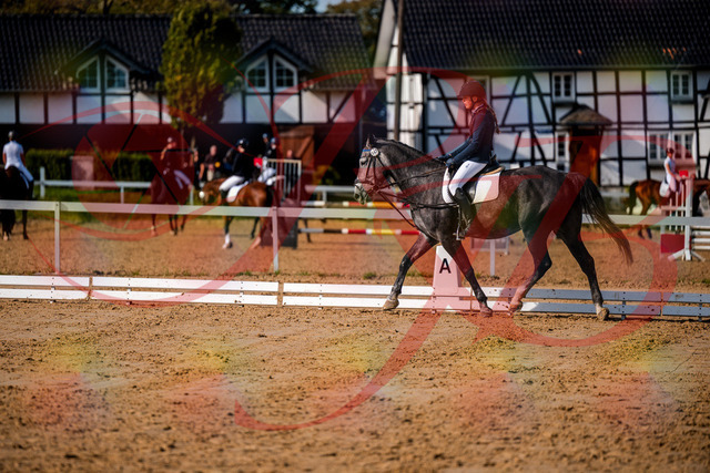 2026_10_03_Siefer-Hof_120051_Z63_32415497 | Professionelle Reitsport-, Turnier- und Eventfotografie von Robert Broda. Galerien mit ausgewählten und bearbeiteten Bildern direkt online ansehen und bestellen.