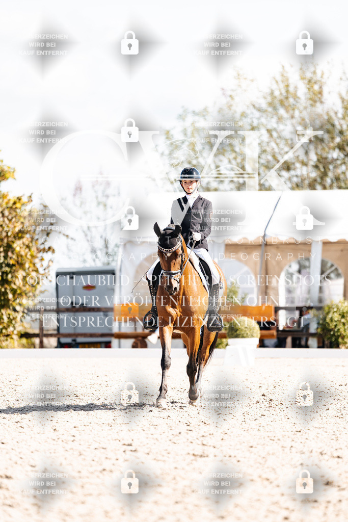 CK902733 | Turnierfotografie Pferdefotografie Trier Rheinland-Pfalz Pferdesport Reitsport Tierfotografie Sportfotografie Pferdevideo Pferdevideografie Equestrianvideography equestrianphotography  - Realisiert mit Pictrs.com