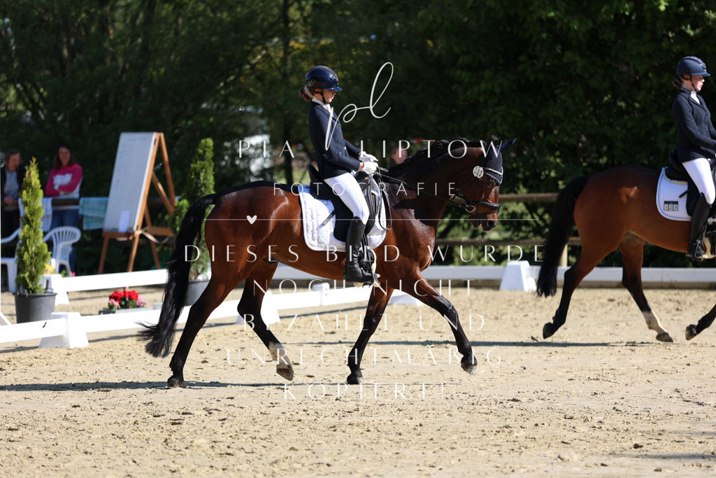 IMGT9564 | pl-fotografie