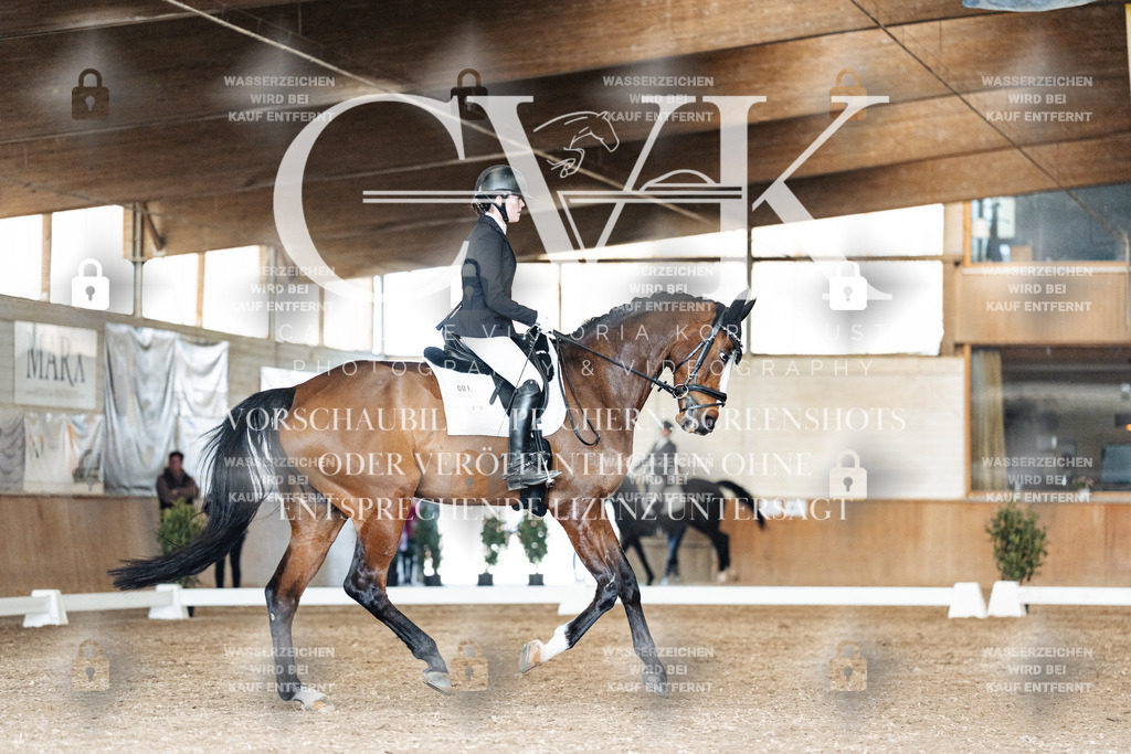 CK901797 | Turnierfotografie Pferdefotografie Trier Rheinland-Pfalz Pferdesport Reitsport Tierfotografie Sportfotografie Pferdevideo Pferdevideografie Equestrianvideography equestrianphotography  - Realisiert mit Pictrs.com