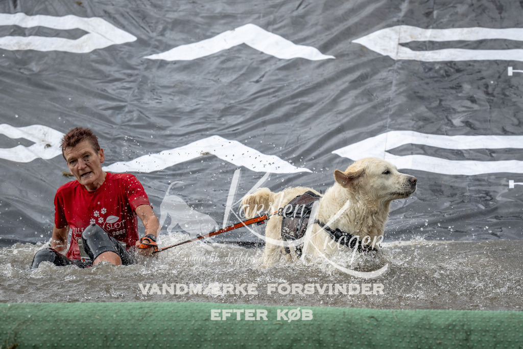 1210_ZZ94460 | kk-dogfotos
