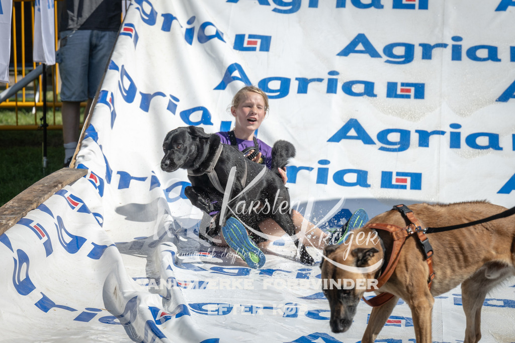 1137_ZZ93126 | kk-dogfotos