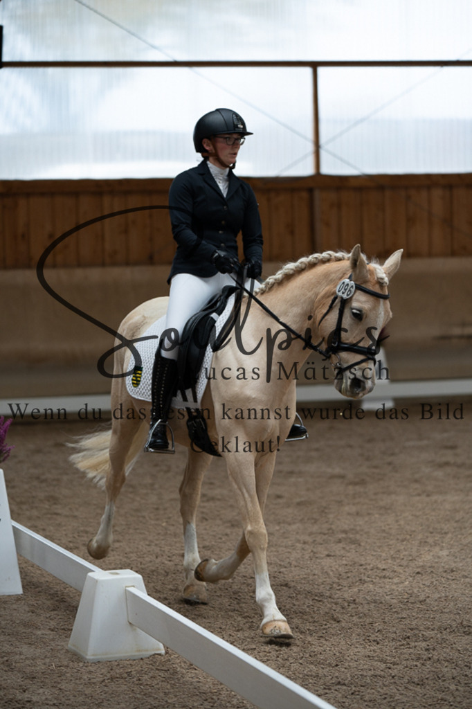 A7V02197 | Pferdefotograf