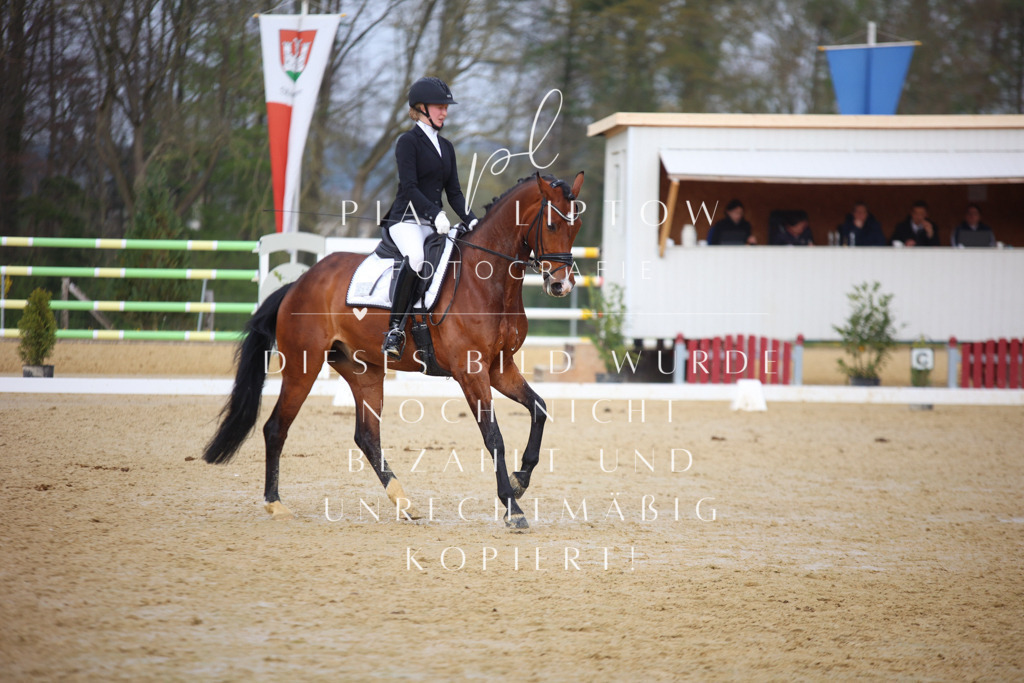 IMGT7978 | pl-fotografie