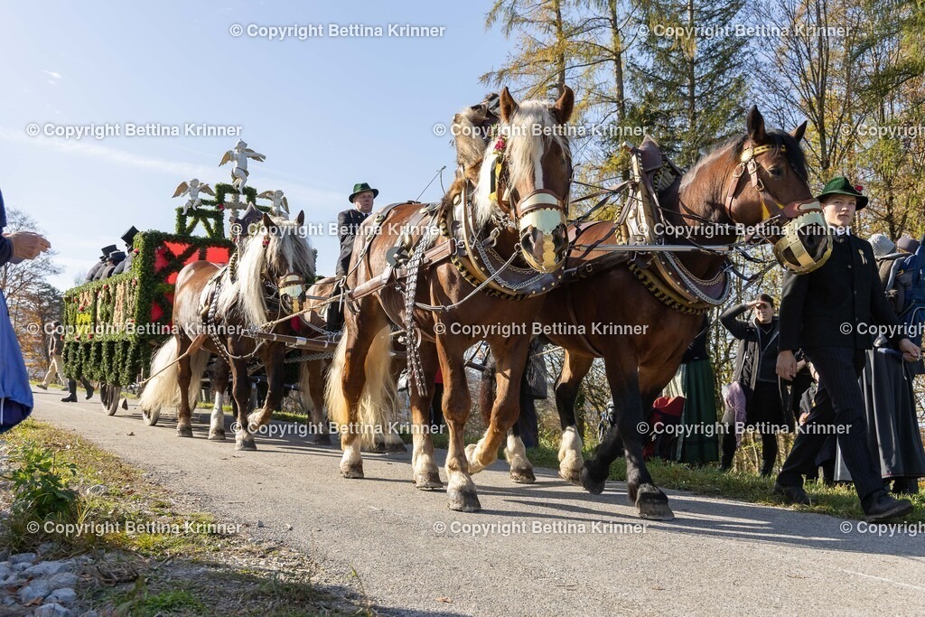 LBT24-1139 | foto-bettina-krinner - Realisiert mit Pictrs.com
