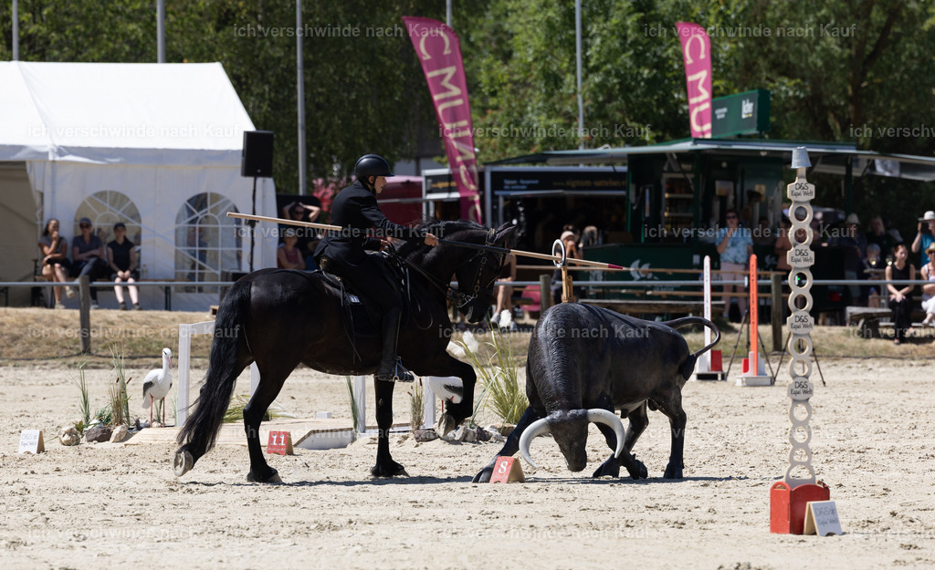 WM_Speed_132_KerstinBernhardt-12 | working equitationturnier fotograf videograf stoibphotography marixx film working equitation deutschland reitsport turnierfotografie eventfotografie equestrian events