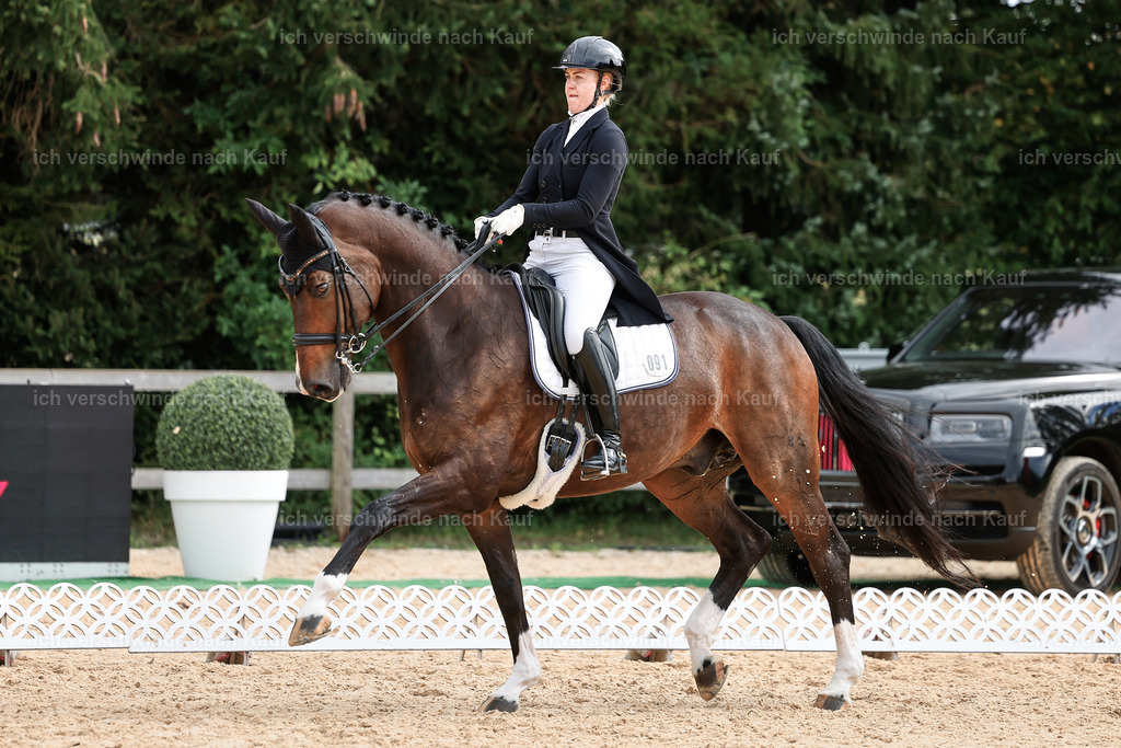 11-091-Dressur S___-StoibPH-1269 | working equitationturnier fotograf videograf stoibphotography marixx film working equitation deutschland reitsport turnierfotografie eventfotografie equestrian events