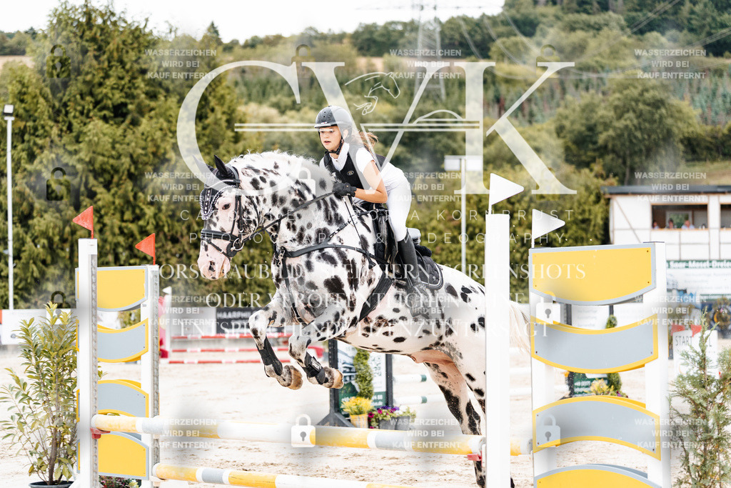 CK908249 | Turnierfotografie Pferdefotografie Trier Rheinland-Pfalz Pferdesport Reitsport Tierfotografie Sportfotografie Pferdevideo Pferdevideografie Equestrianvideography equestrianphotography  - Realisiert mit Pictrs.com