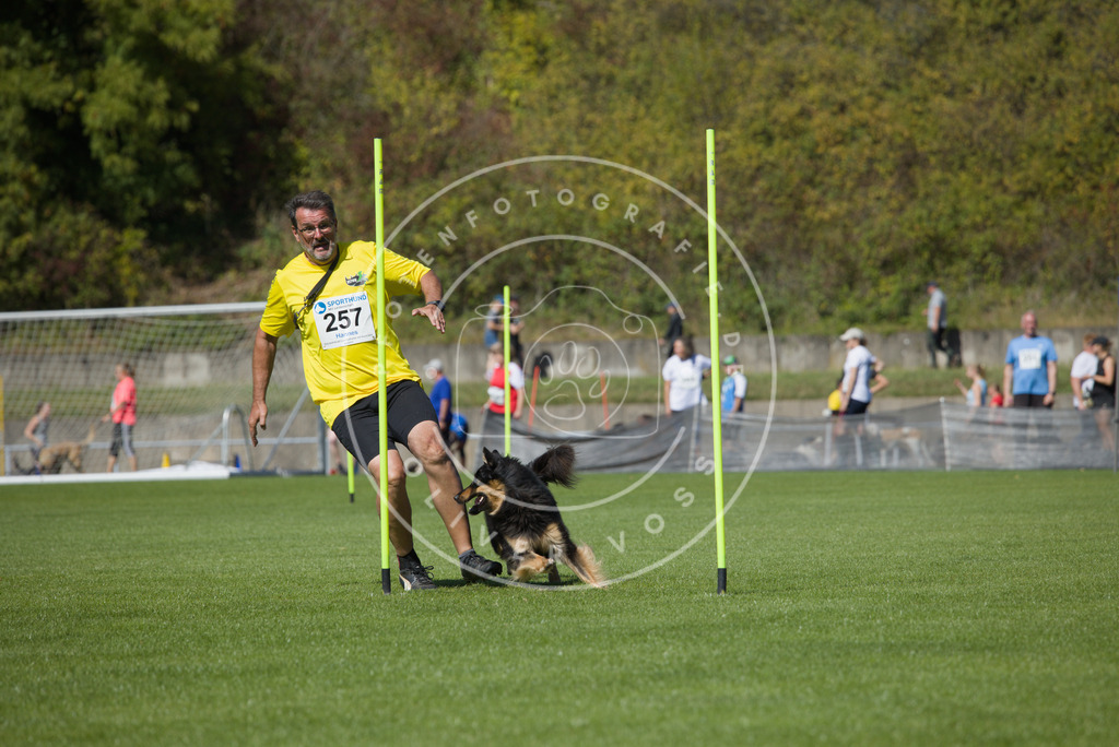 0L8A6392 | Hundefotografie, Tierfotograf, Pfotenfotografie, Fotoshooting Hund, Hunde Portrait, Hundesport, Hundeportraits, Heideshooting, Hunde, Sportfotograf, Hundefotograf, Turnierhundsport, THS,  - Realisiert mit Pictrs.com