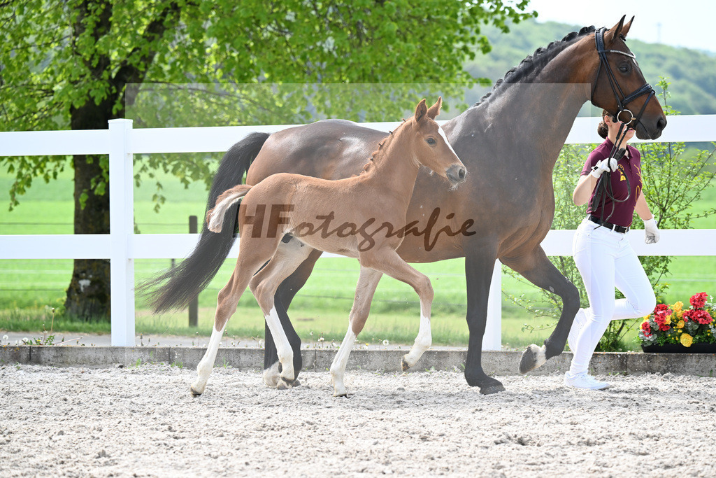 Kat-Nr. 11 HF Kannan x Conthargos_Riehm_23260328 | hf-fotografie - Realisiert mit Pictrs.com