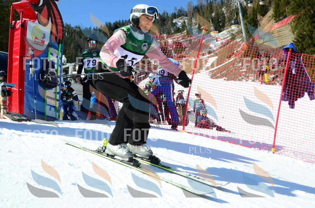 C6161 | holidayphoto