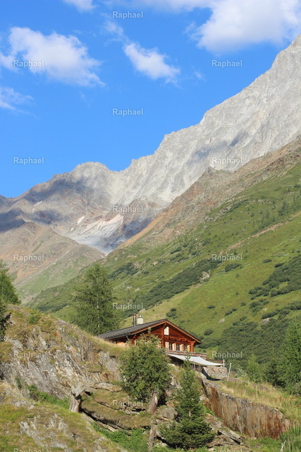 IMG_3241 | Raphael - Realisiert mit Pictrs.com