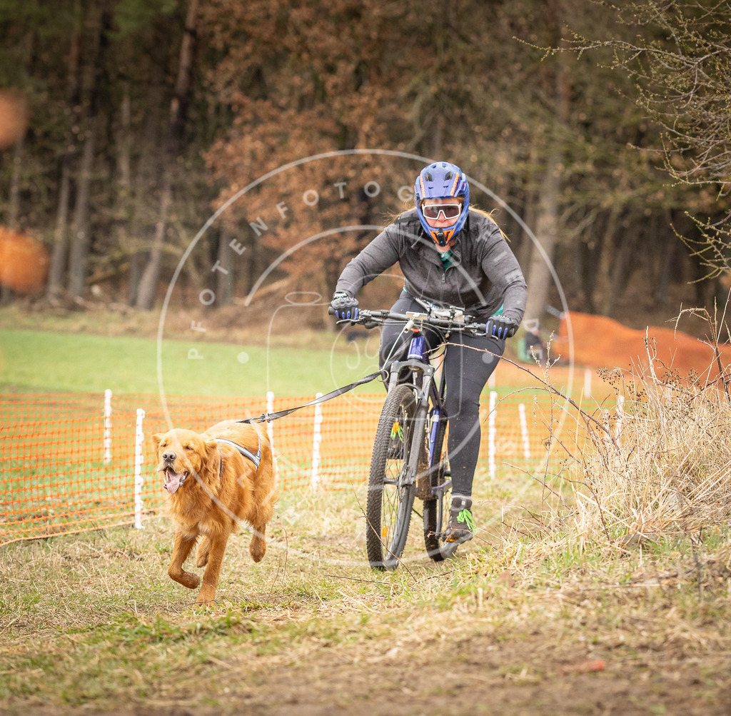 DV3A1106 | Hundefotografie, Tierfotograf, Pfotenfotografie, Fotoshooting Hund, Hunde Portrait, Hundesport, Hundeportraits, Heideshooting, Hunde, Sportfotograf, Hundefotograf, Turnierhundsport, THS,  - Realisiert mit Pictrs.com