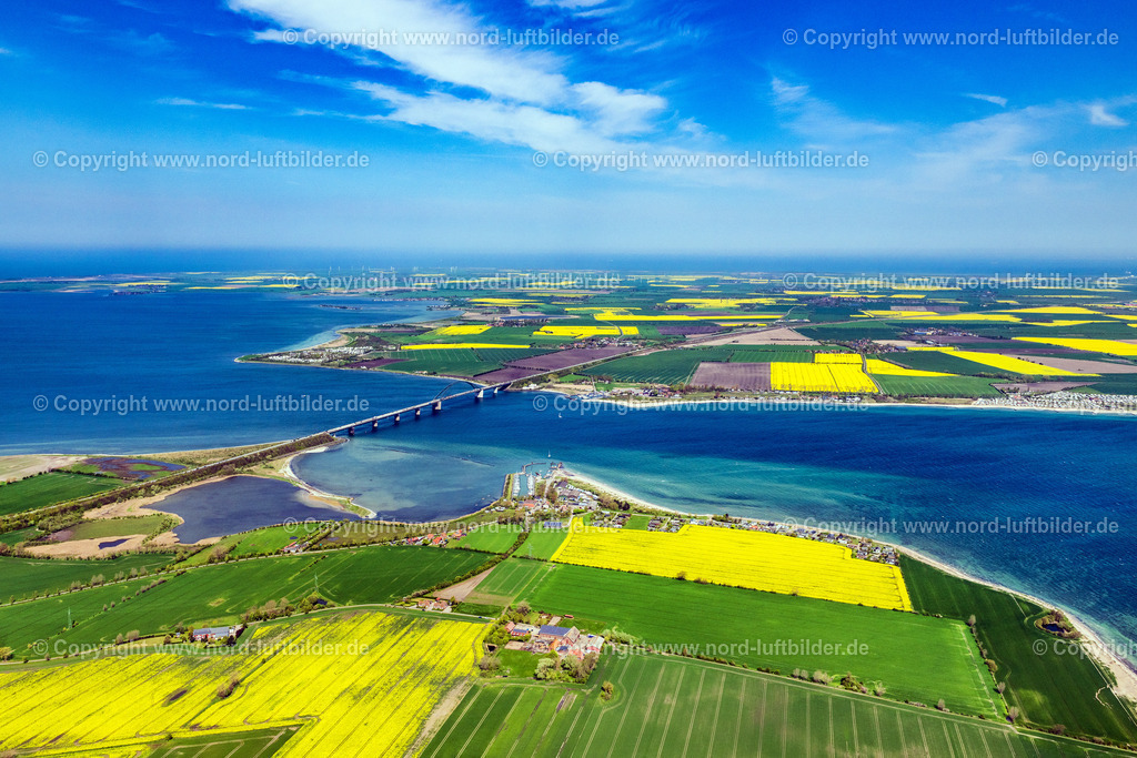 Fehmarn_Fehmarnsundbrücke_ELS_5564010524 | FEHMARN 15.05.2024 Konstruktion der Seebrücke " Fehmarnsundbrücke " über der Wasseroberfläche des Fehmarnsund der Ostsee an der Straße E47 in Fehmarn auf der Insel Fehmarn im Bundesland Schleswig-Holstein, Deutschland. Weiterführende Informationen bei: Tourismus-Service Fehmarn. // Construction of the pier "Fehmarnsundbruecke" over the water surface of the Fehmarnsund of the Baltic Sea on the E47 road in Fehmarn on the island of Fehmarn in the federal state of Schleswig-Holstein, Germany. Further information at: Tourismus-Service Fehmarn. Foto: Martin Elsen