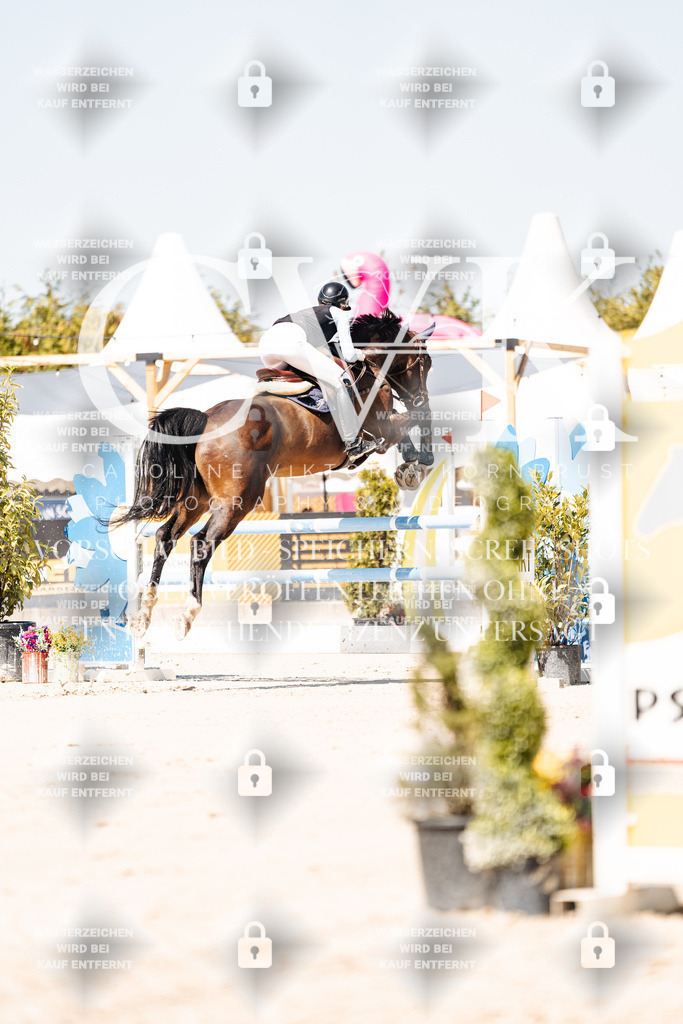 CK909452 | Turnierfotografie Pferdefotografie Trier Rheinland-Pfalz Pferdesport Reitsport Tierfotografie Sportfotografie Pferdevideo Pferdevideografie Equestrianvideography equestrianphotography  - Realisiert mit Pictrs.com