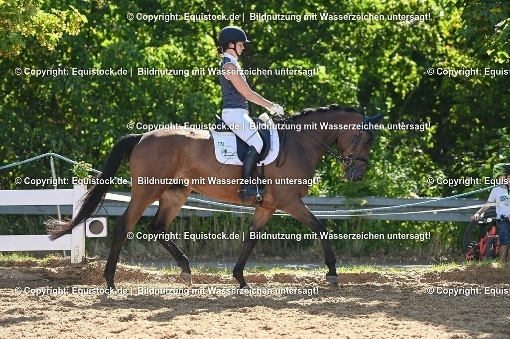 20230715_06_Dressurpferdeprfg. Kl.A_0393 | equistock