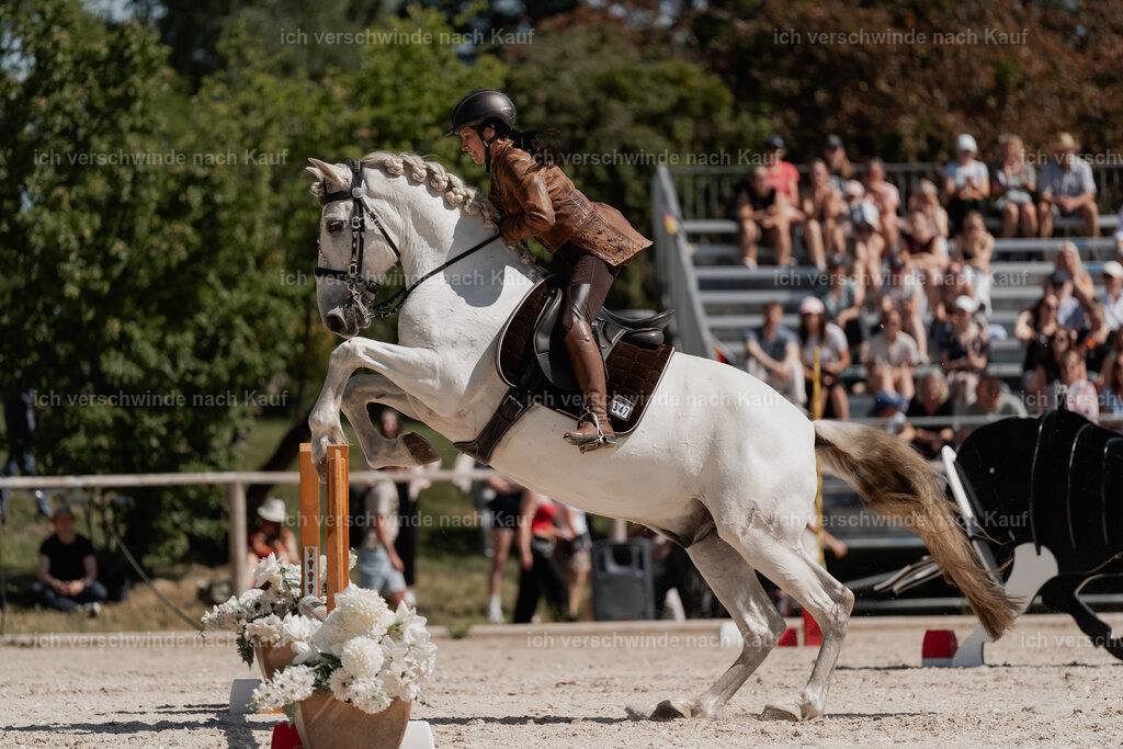WE_SP_Stoib_347_PI2025_1554 | Pferd International München 2025