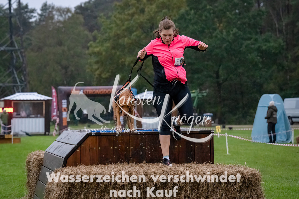 0818-_ZZ90965-Bearbeitet-Bearbeitet | kk-dogfotos