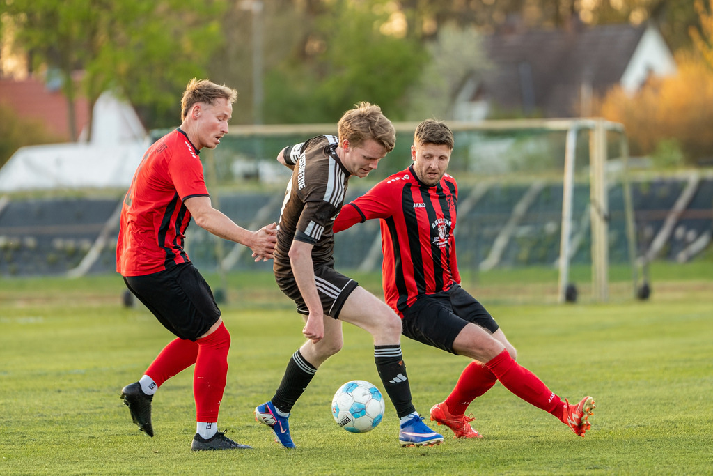 Fußball I Herren I Saison 2025-2026 I Bezirksliga Weser-Ems 4 I 23. Spieltag I TuS Frisia Goldenstedt - SW Osterfeine I 08365 | jns.sportfotos - Realisiert mit Pictrs.com