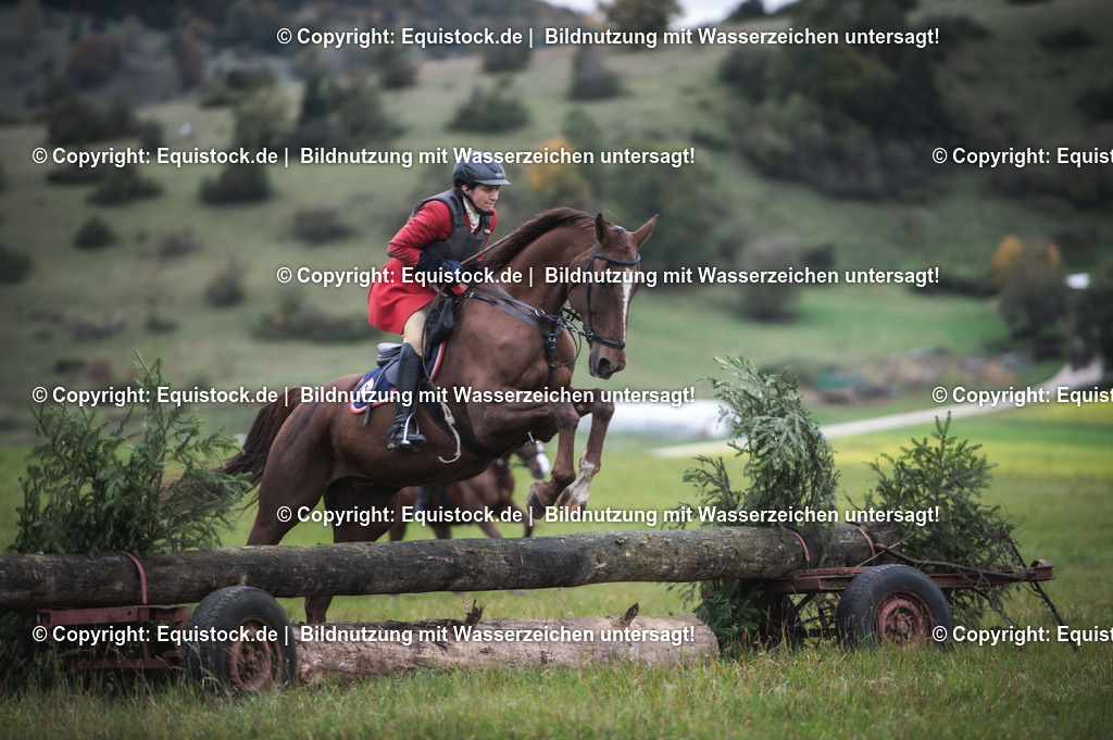 20241013_Jagd-Marbach_0224 | Foto: Thomas Hartig