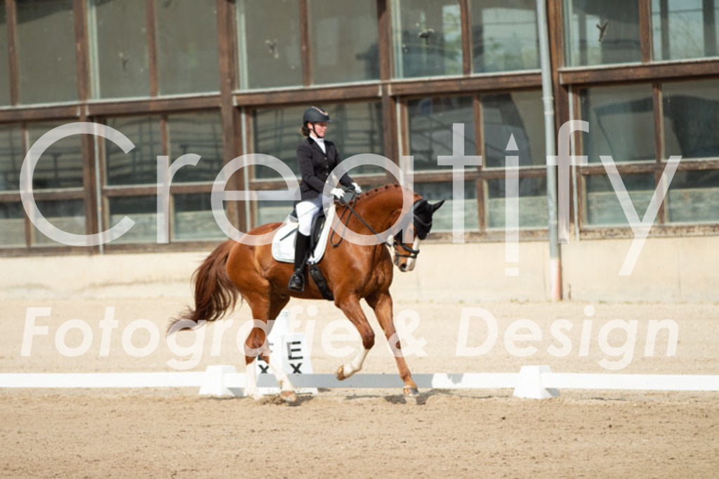 IMG_1343 | Creatify Fotografie