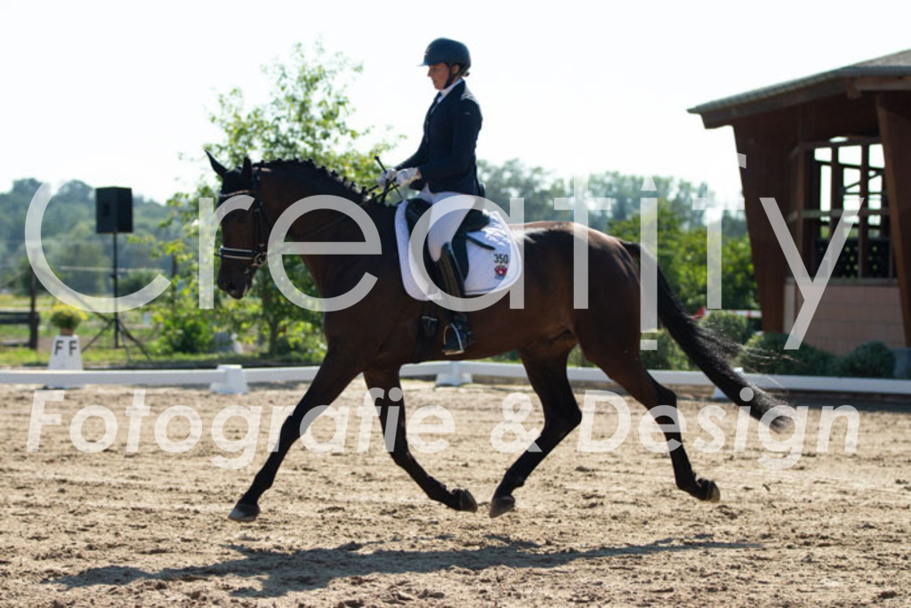 IMG_3251 | Creatify Fotografie