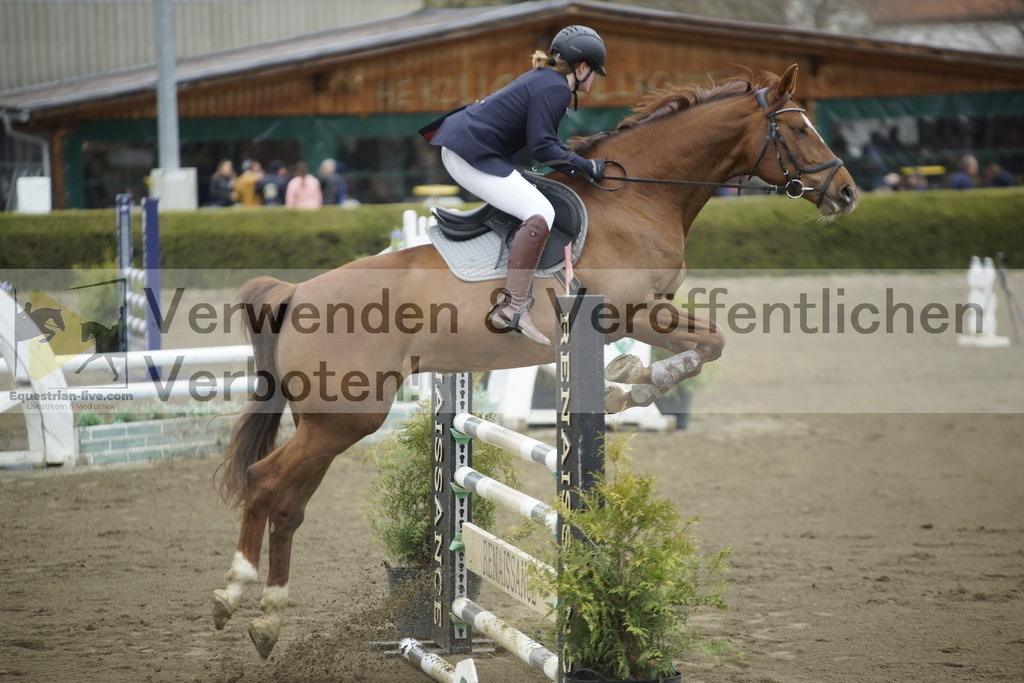 _DSC7152 | equestrian-live-com