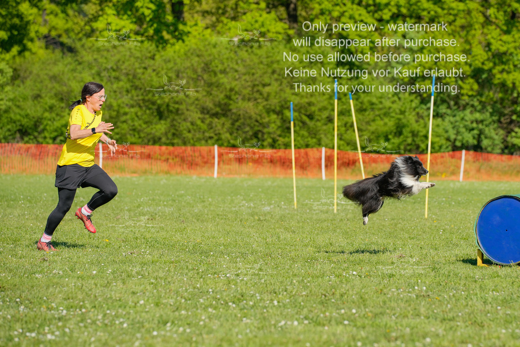 Sa_CSC-330 | stephaniefillaphotographie - Realisiert mit Pictrs.com