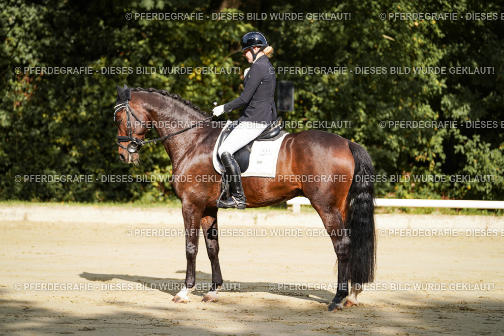 DSC07785 | Pferdegrafie