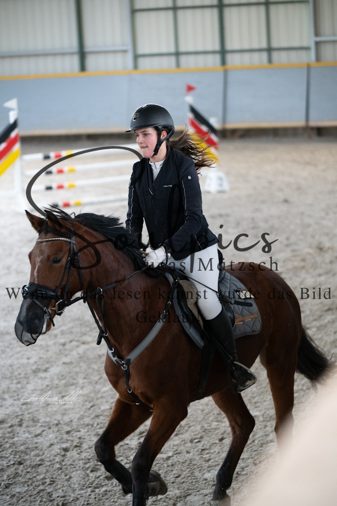 A7V01253 | Pferdefotograf