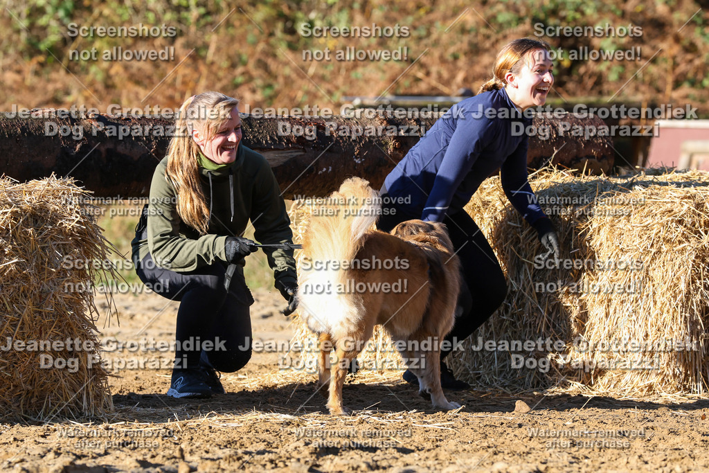 Dog Paparazzi - Strongdog 10-25-1480 | Dog Paparazzi Jeanette Grottendiek Fotografie & Videografie - Realisiert mit Pictrs.com