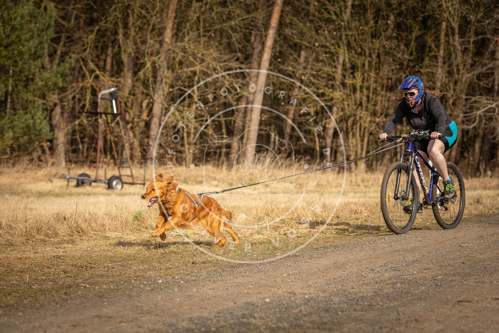 DV3A4486 | Hundefotografie, Tierfotograf, Pfotenfotografie, Fotoshooting Hund, Hunde Portrait, Hundesport, Hundeportraits, Heideshooting, Hunde, Sportfotograf, Hundefotograf, Turnierhundsport, THS,  - Realisiert mit Pictrs.com