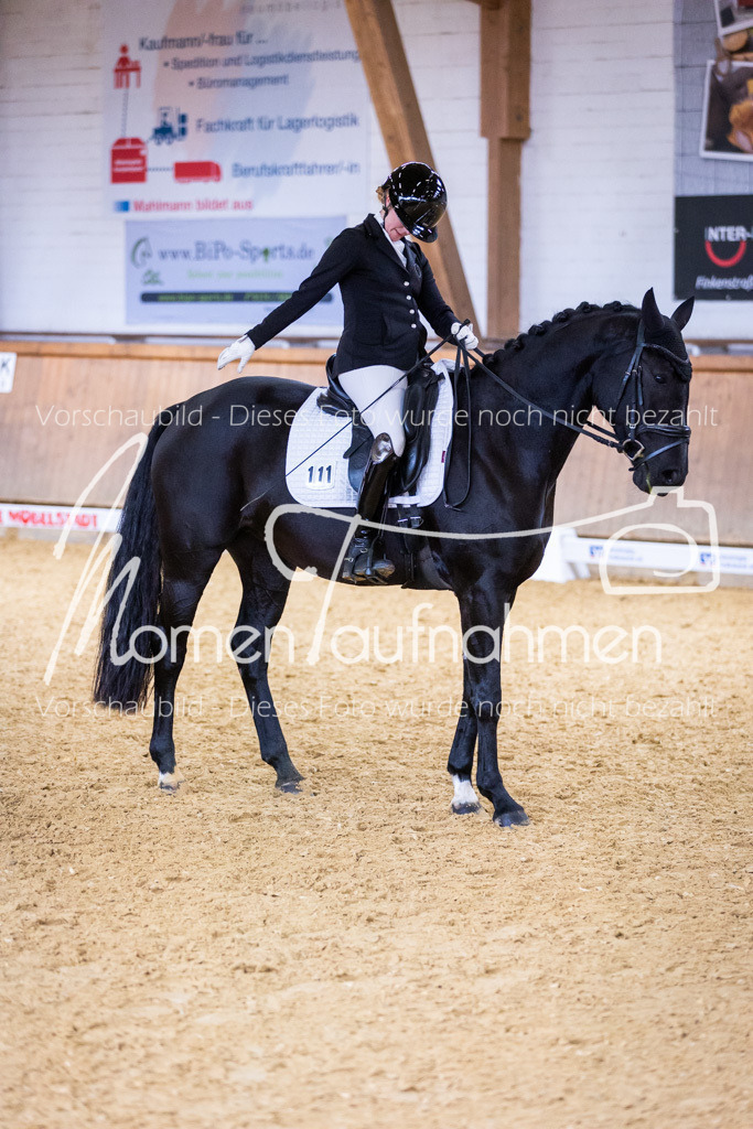 Sth-A-Dre-2St-151 | MomenTaufnahmen Pferdesportfotos