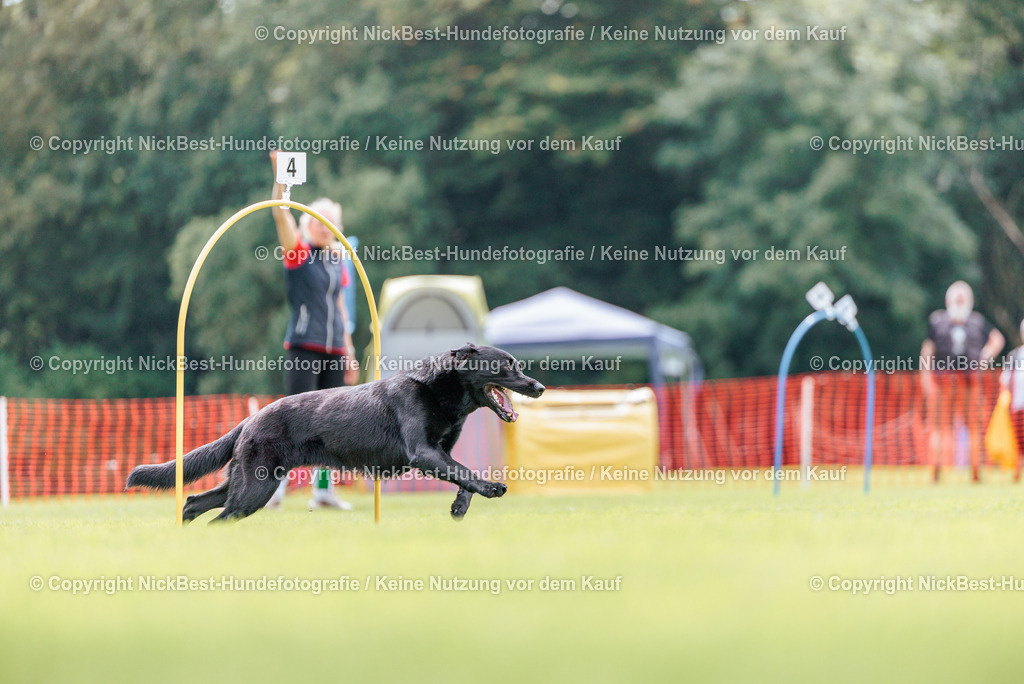 BSP Hoopers-H2-2026-Nickbest-Hundefotografie-TuS Komet Arsten e.V.-6510 | Dein Hund! Dein Moment! Deine Erinnerungen! Hundefotografie in Bremen Blumenthal. Ich fange die besonderen Momente deines Vierbeiners ein – ob Indoor mit Blitzanlage oder in der freien Natur. Sicher dir dein Moment und dein Termin für eure Erinnerungen.