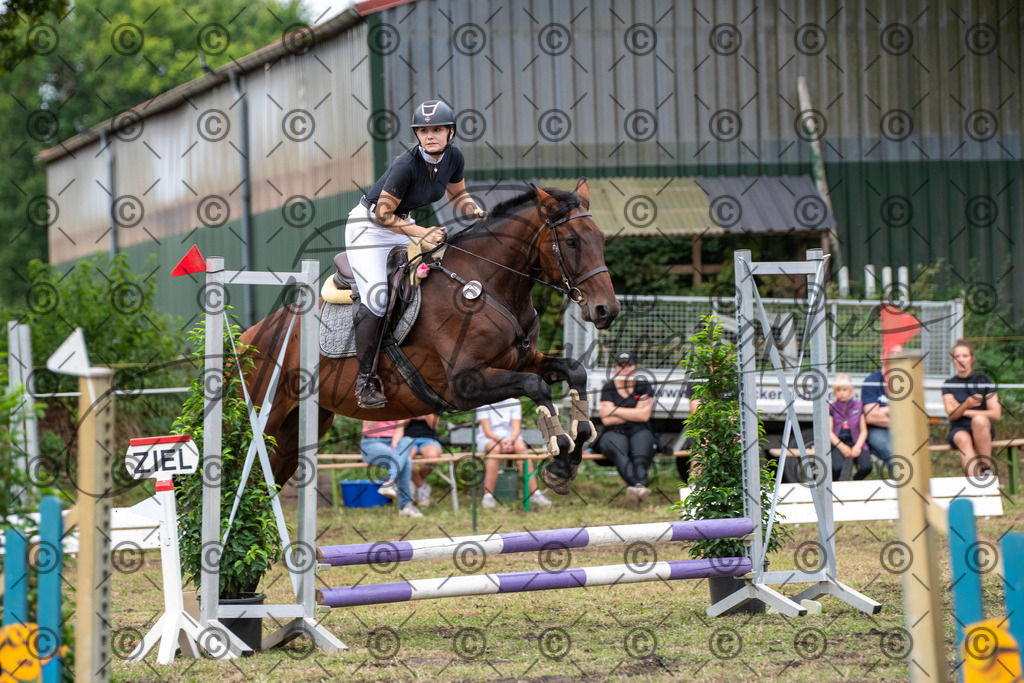 SHT_7733 | andre_photographic